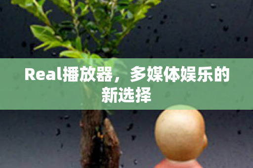多媒体娱乐的新选择图片