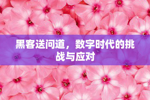 数字时代的挑战与应对图片