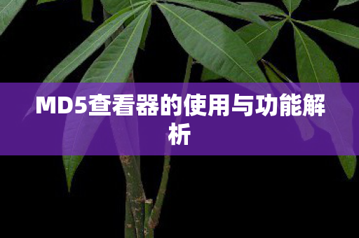 MD5查看器的使用与功能解析图片