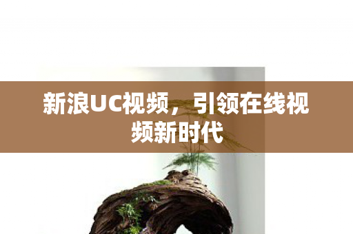引领在线视频新时代图片