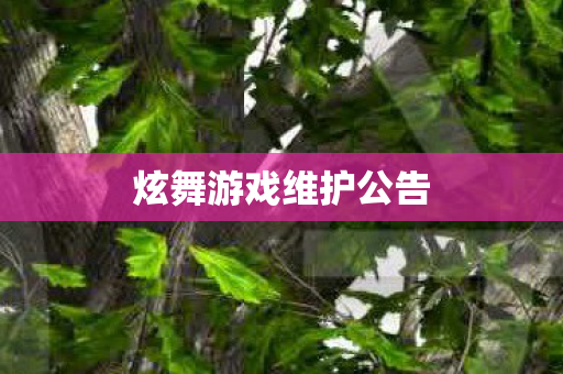 炫舞游戏维护公告图片