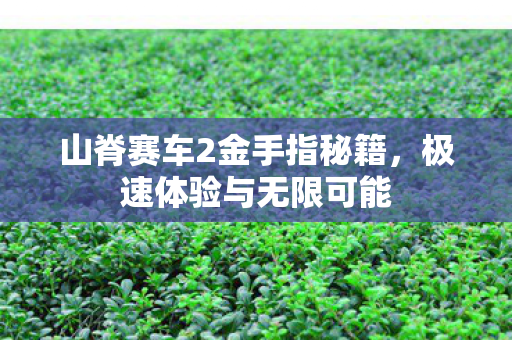 山脊赛车2金手指秘籍图片