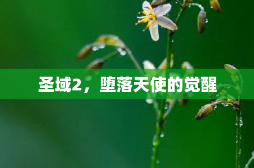 堕落天使的觉醒图片