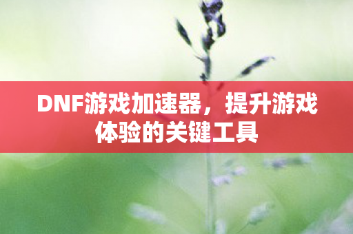 提升游戏体验的关键工具图片