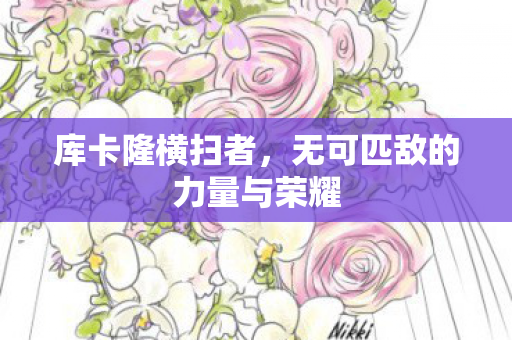 无可匹敌的力量与荣耀图片