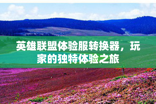 英雄联盟体验服转换器图片