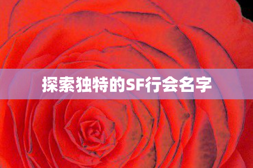 探索独特的SF行会名字图片