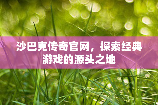 探索经典游戏的源头之地图片