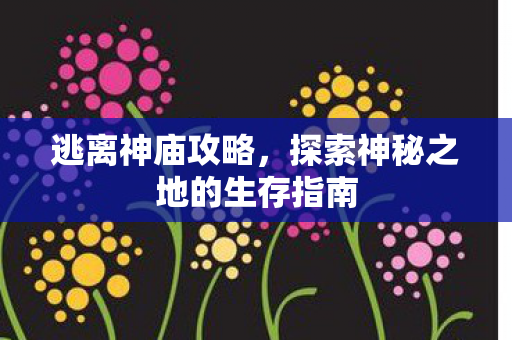 探索神秘之地的生存指南图片