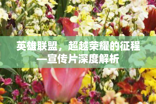 超越荣耀的征程图片