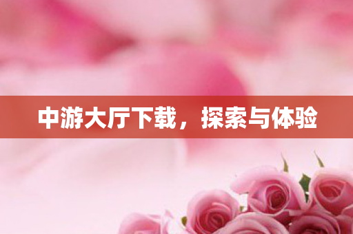 中游大厅下载图片