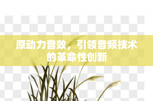 引领音频技术的革命性创新图片