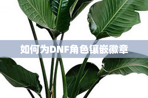 如何为DNF角色镶嵌徽章图片