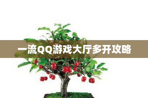一流QQ游戏大厅多开攻略图片