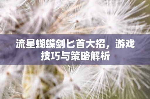 流星蝴蝶剑匕首大招图片