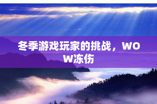 冬季游戏玩家的挑战图片