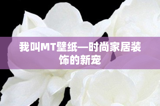 时尚家居装饰的新宠图片