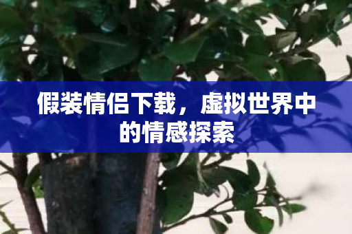 虚拟世界中的情感探索图片