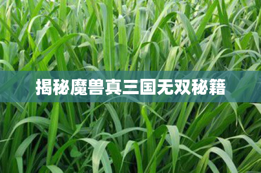 揭秘魔兽真三国无双秘籍图片