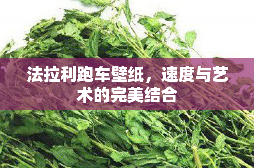 速度与艺术的完美结合图片