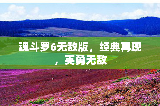 魂斗罗6无敌版图片