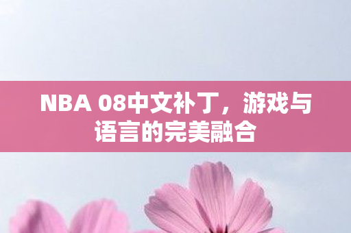 NBA 08中文补丁图片