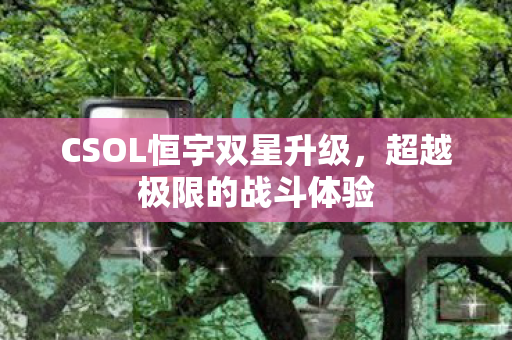 CSOL恒宇双星升级图片