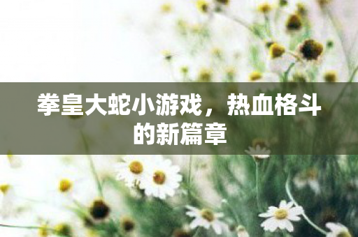热血格斗的新篇章图片