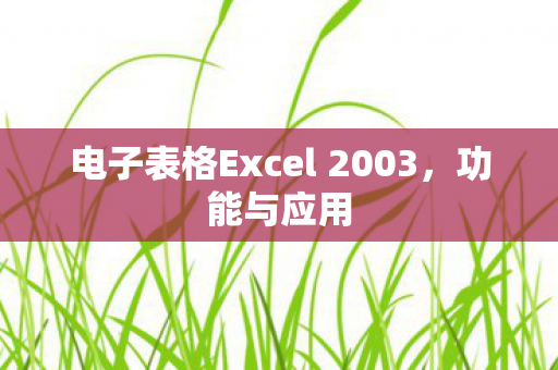 电子表格Excel 2003图片
