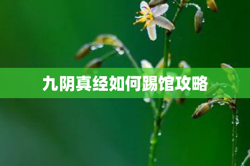 九阴真经如何踢馆攻略图片