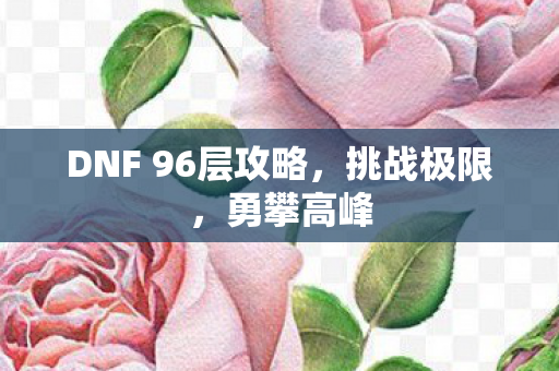 DNF 96层攻略图片