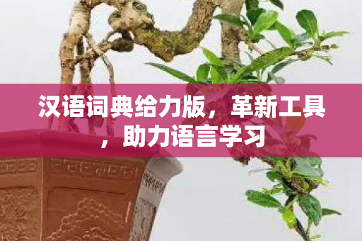 汉语词典给力版图片