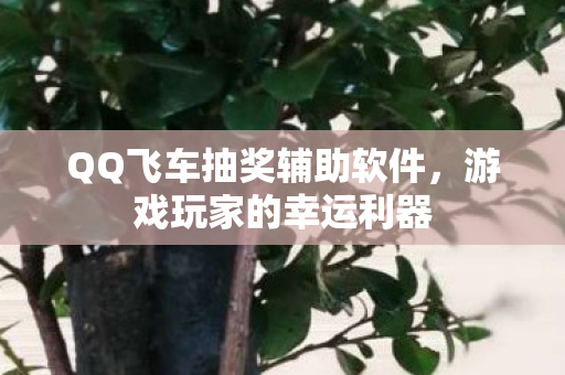 QQ飞车抽奖辅助软件图片