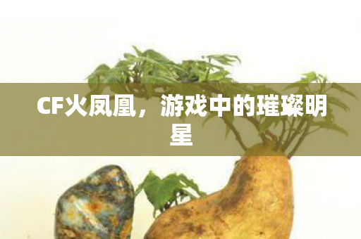 游戏中的璀璨明星图片