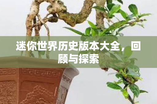 迷你世界历史版本大全图片