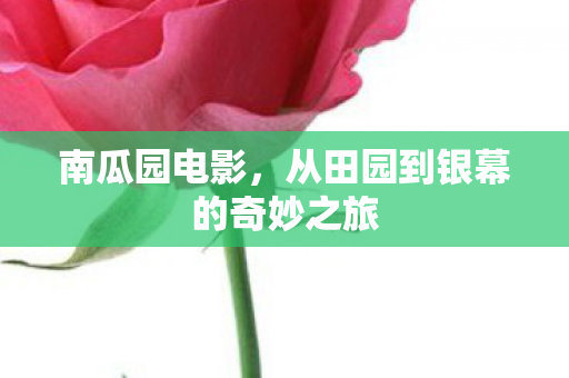 从田园到银幕的奇妙之旅图片