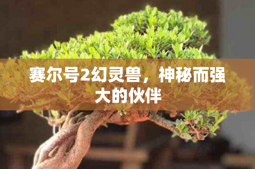 神秘而强大的伙伴图片