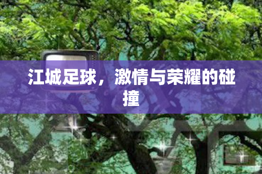 激情与荣耀的碰撞图片