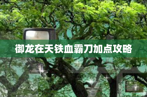 御龙在天铁血霸刀加点攻略图片