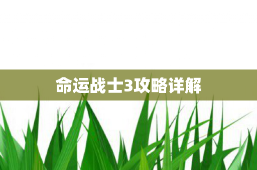 命运战士3攻略详解图片