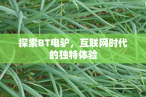 互联网时代的独特体验图片