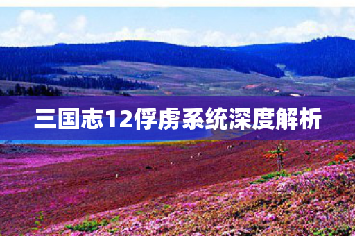 三国志12俘虏系统深度解析图片