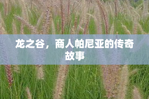 商人帕尼亚的传奇故事图片