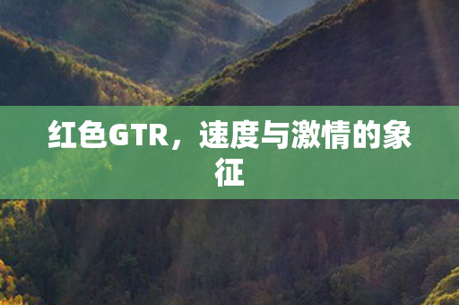速度与激情的象征图片