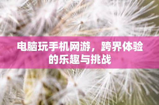 跨界体验的乐趣与挑战图片