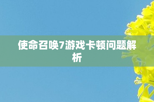 使命召唤7游戏卡顿问题解析图片