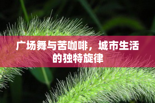 城市生活的独特旋律图片