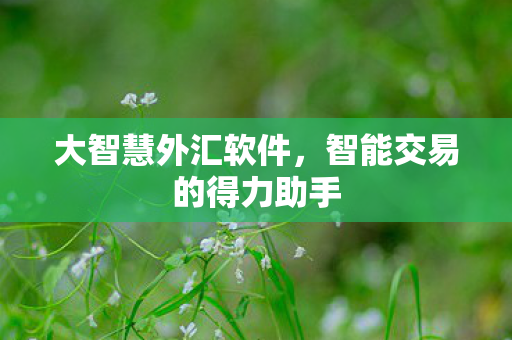 智能交易的得力助手图片
