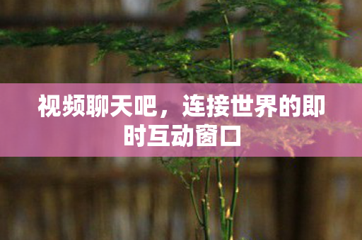 连接世界的即时互动窗口图片