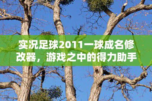 实况足球2011一球成名修改器图片